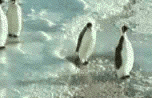 Click picture to ZOOM